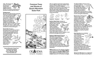 Preview of Common Tree & Shrub Guide
